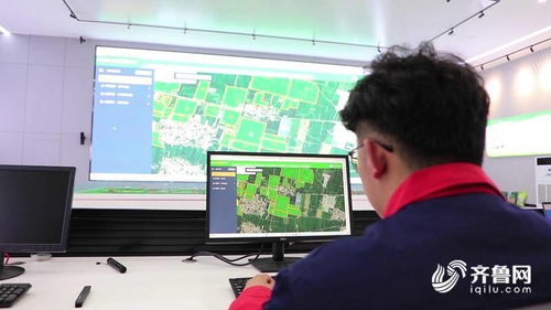 智慧大脑赋能田间地头，聊城全面推广科技种田新图景