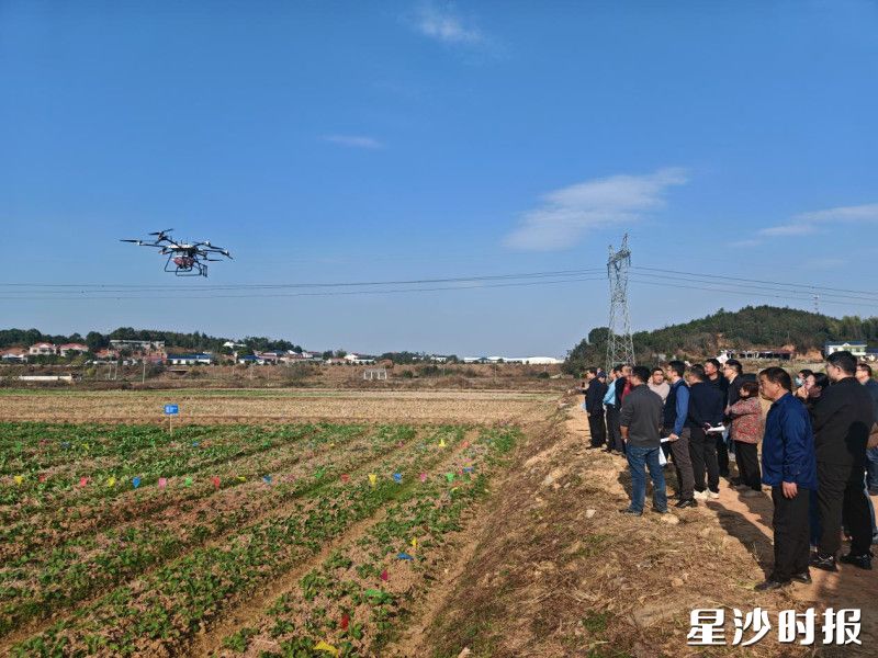 科技搭桥 精准护苗 数字化时代的青少年成长护航新路径